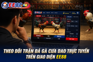 Đá Gà Cựa Dao trực tuyến với hai chiến kê chuẩn bị thi đấu trên giao diện EE88
